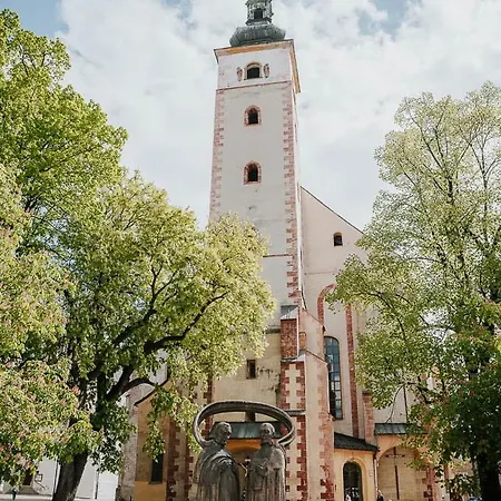 Alure Residences 11 - 24h Self Check-in & Private Parking Next To The Building Included, Center Right On Snp Square In A Quiet Passage, New Building, In Town Bańska Bystrzyca