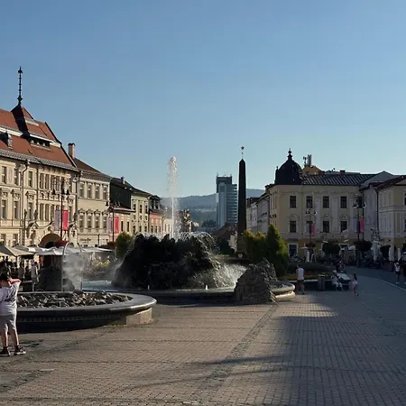 Alure Residences 11 - 24h Self Check-in & Private Parking Next To The Building Included, Center Right On Snp Square In A Quiet Passage, New Building, In Town Appartement